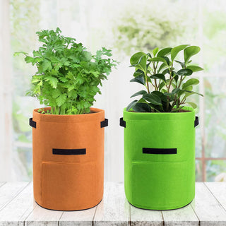 10 Gallon Potato Grow Container with Side Window - Available in 2 Quantity and 3 Colors_0