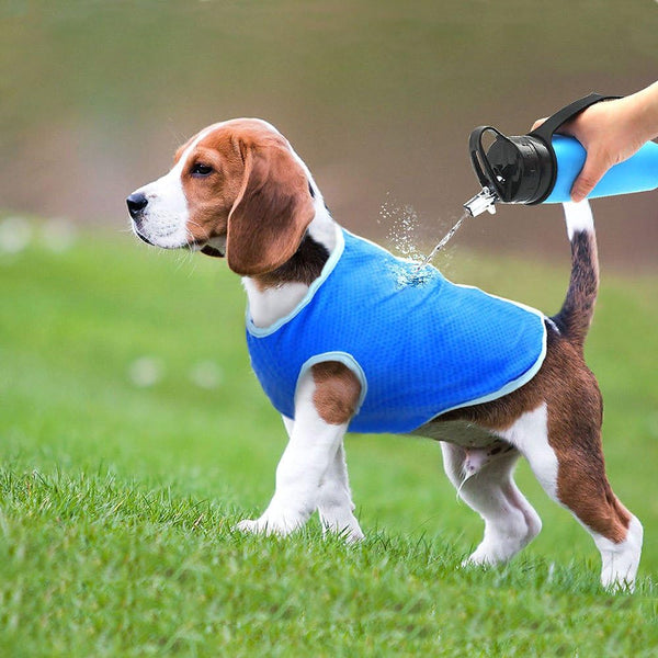 Outdoor Breathable Anti-Heat Summer Pet Cooling Vest - XS/S/M/L_12