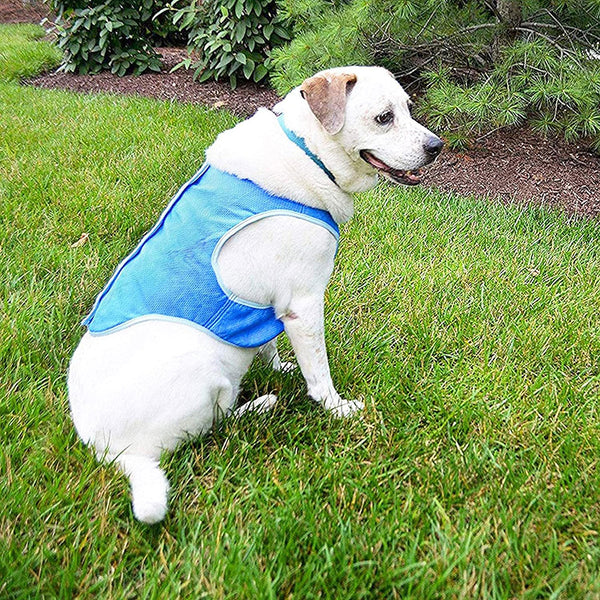 Outdoor Breathable Anti-Heat Summer Pet Cooling Vest - XS/S/M/L_13