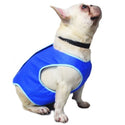 Outdoor Breathable Anti-Heat Summer Pet Cooling Vest - XS/S/M/L_9