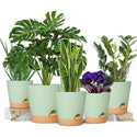 GREENHAVEN Self Watering Planters with Drainage Hole - Set of 5_4