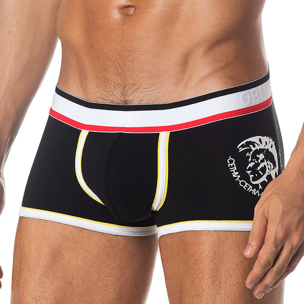 Men Underwear Boxers Mesh Breathable Comfortable Underpants