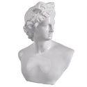 Troy Bust Statue