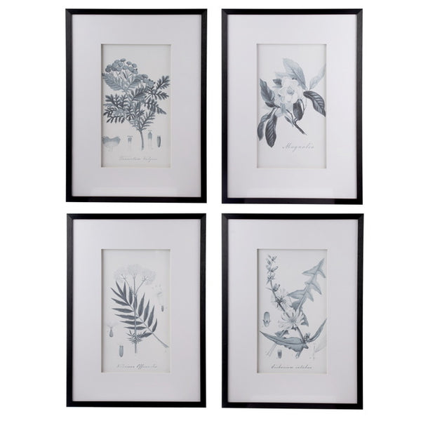 Set of 4 Flora & Fauna Framed Prints Behind Glass